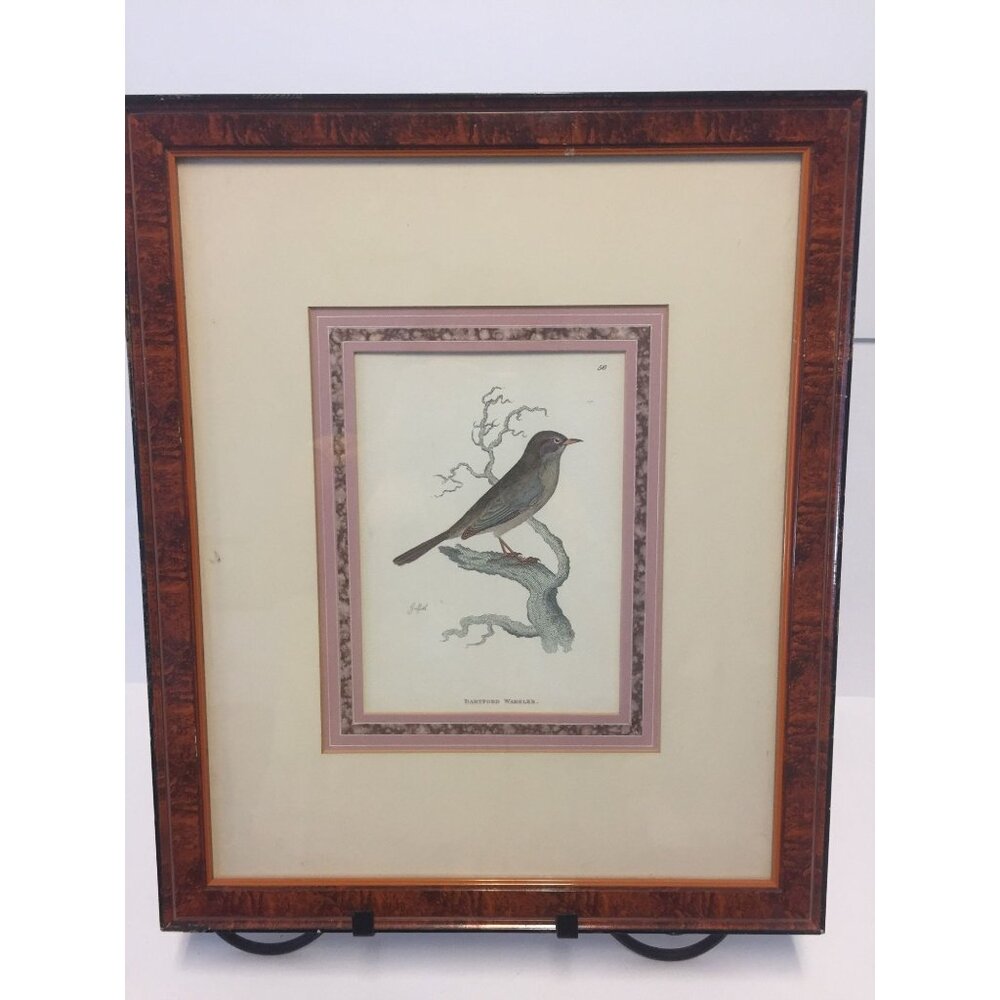 Vtg Dartford Warbler Engraving 56 By Griffith Gifford Beverly Hills Savings Work